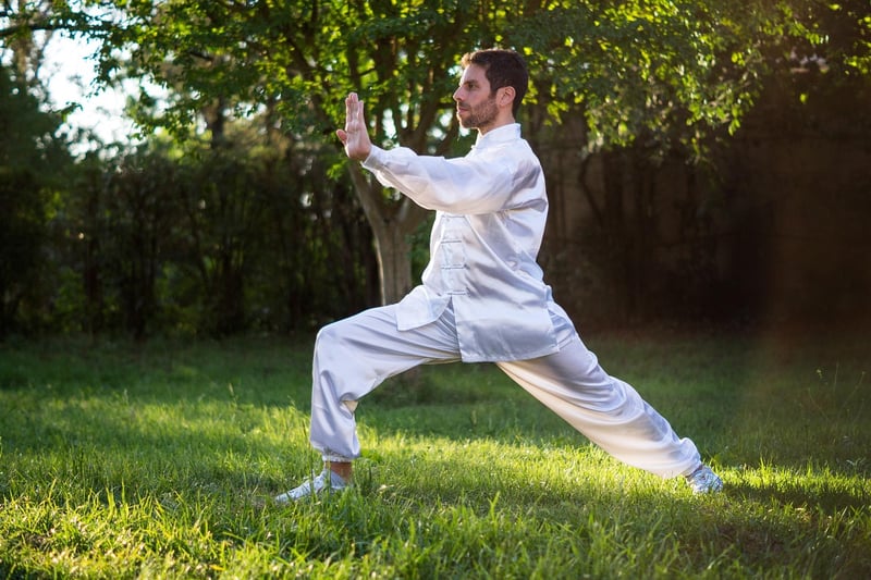 Tai Chi Dynamics